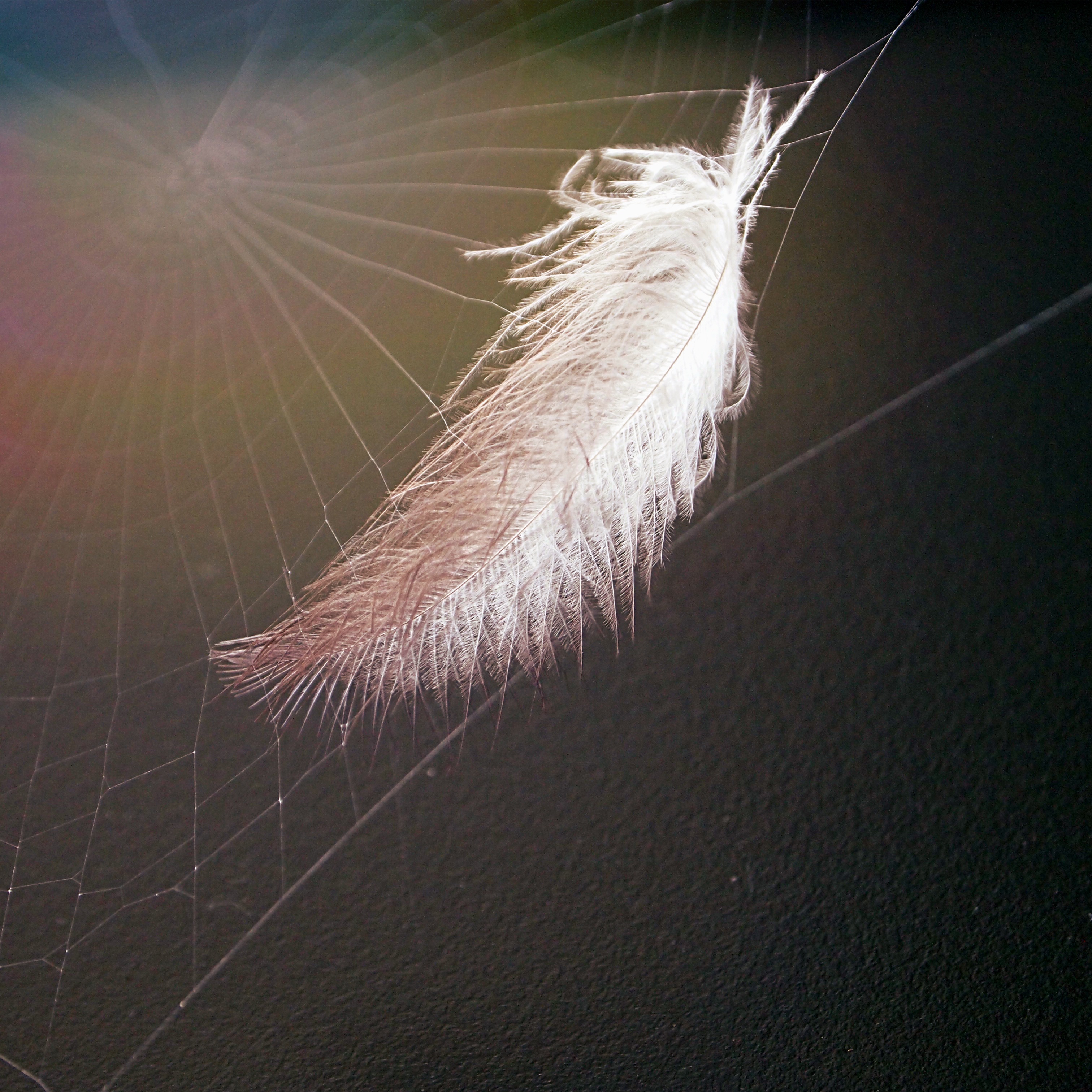 Emotions: A New Way to get Stuck